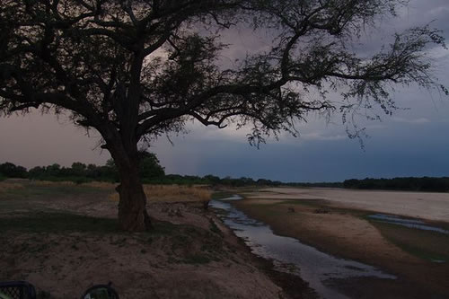 South Luangwa national park