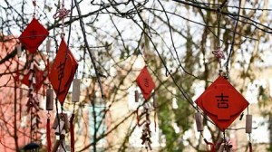 Chinese Wind Chimes