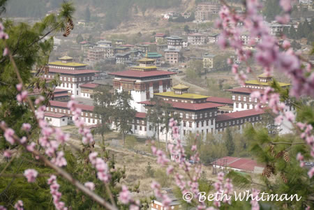 Bhutan Parliament Building