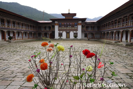 Tang Nunnery