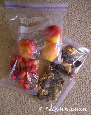 Snacks for airplane flights