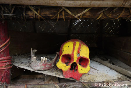 Skull in Papua New Guinea