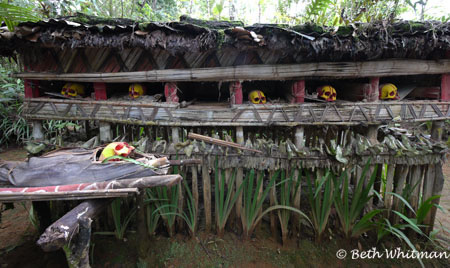 Skulls at fortune teller's in Papua New Guinea