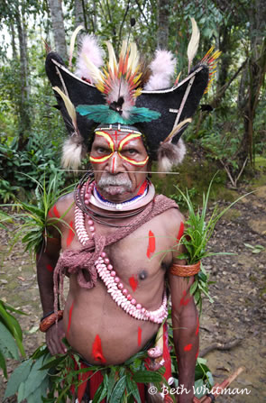 Huli Wigman in Tari Jungle, Papua New Guinea