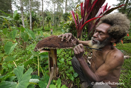 Wigman with Wig in Tari, Papua New Guinea