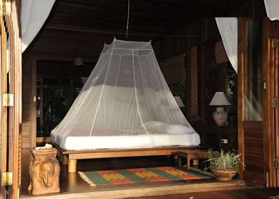 Cocoon Mosquito Net