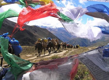 Ponies and Flags Snowman Trek