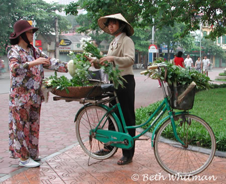 Hanoi Bike with Flowers