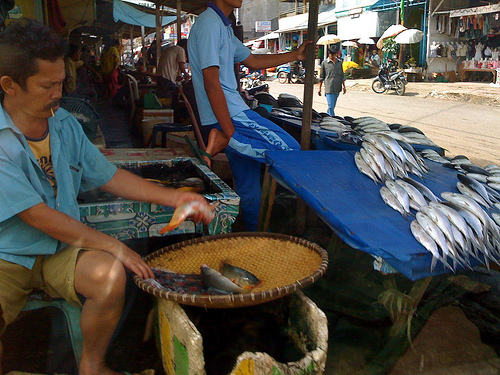 Fish Vendors