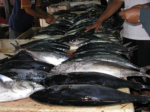 Indonesian Market Fresh Fish