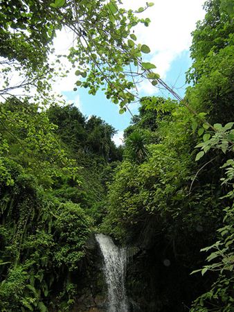 Moheli Waterfalls
