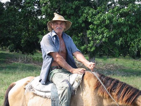 Cowboy in Cuba