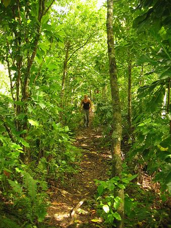 Woman Trekking