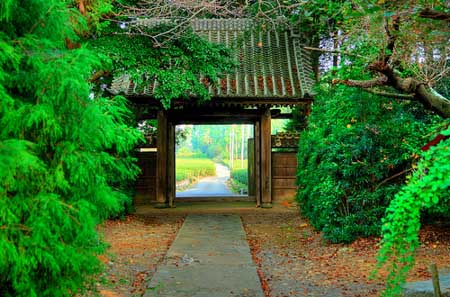 Buddhist Temple Entrance