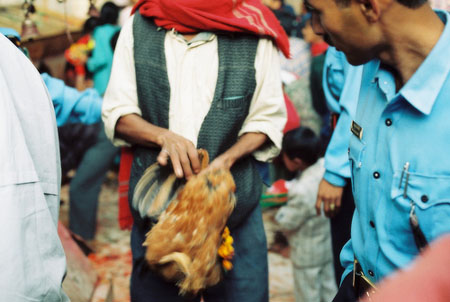 Dakshinkali Chicken Offering