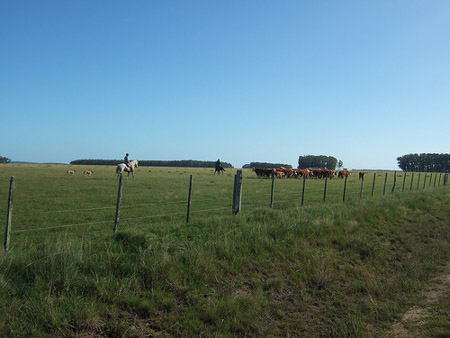 Uruguay Estancia