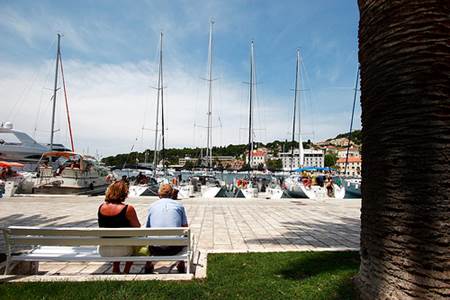 Yachts on Harbour