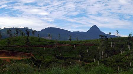  Adam's Peak