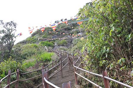 Sri Pada Steps