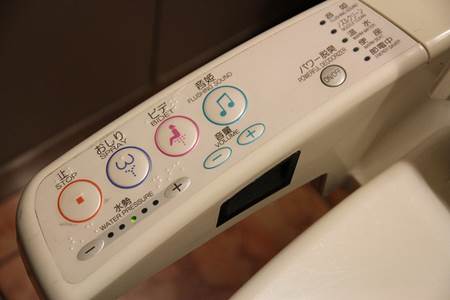 Japanese Toilet Controls