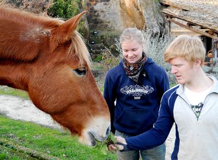 WWOOF Italy - Workstays in Europe