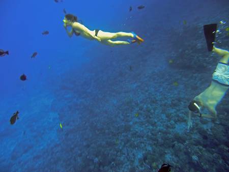 Molokini Crater