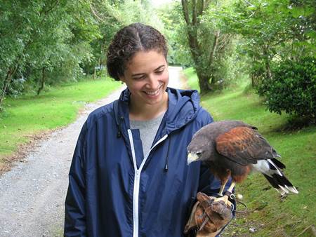 Falconry