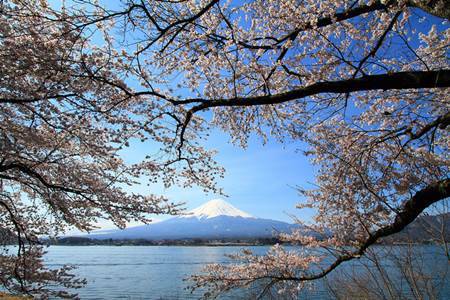 Kawaguchi Lake and Mt. Fuji