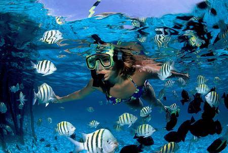 Riviera Maya Snorkeling