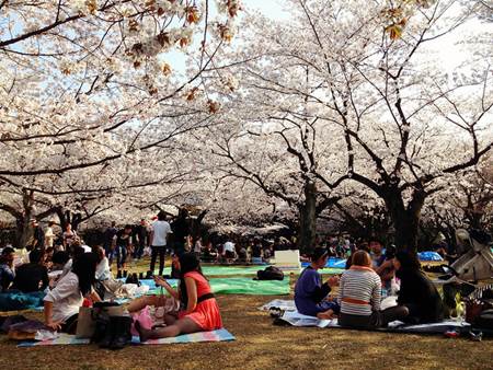 Yoyogi Park