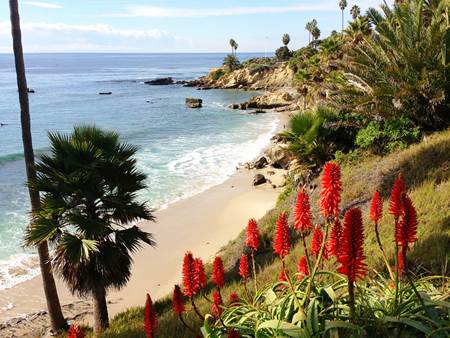 Laguna Beach