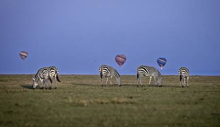 Maasai Mara