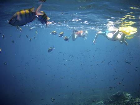 Snorkeling in Oso Peninsula