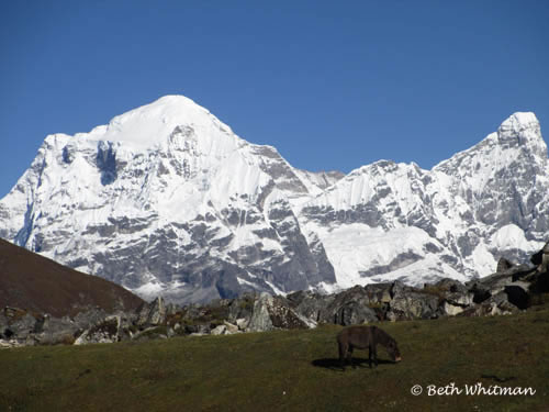 Snowman Trek Bhutan Gangkar Puensum