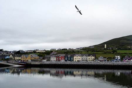 Dingle