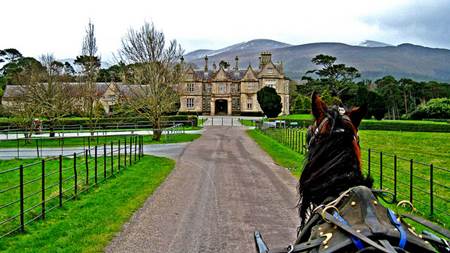 Killarney National Park