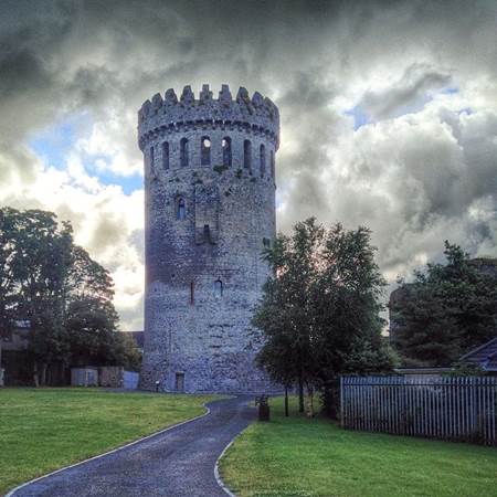 Nenagh Castle