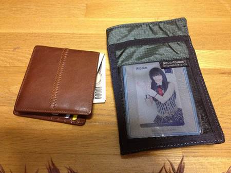 Wallet and Travel Organizer