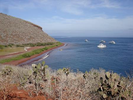 Santa Cruz Galapagos