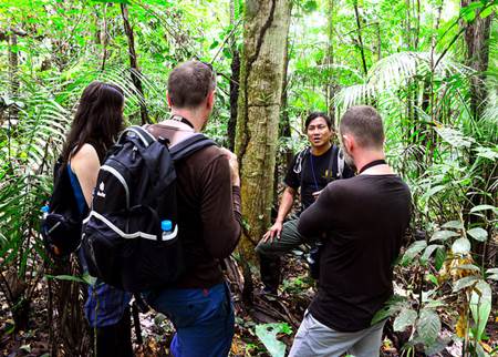 Amazon Jungle Walk