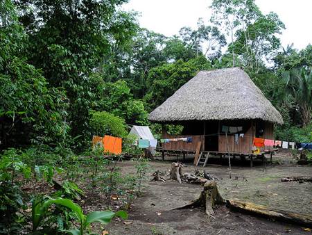 Amazon Lodge