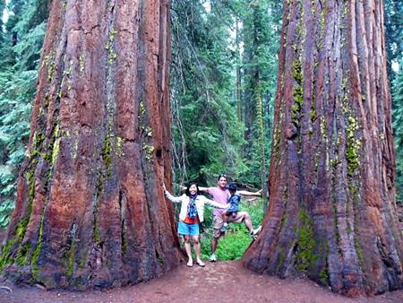 Family at Yosemite National Park