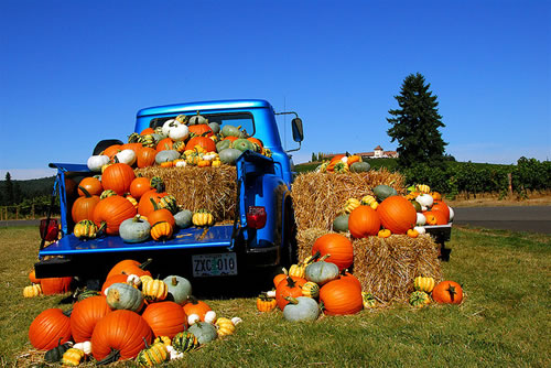 Pumpkins Truck