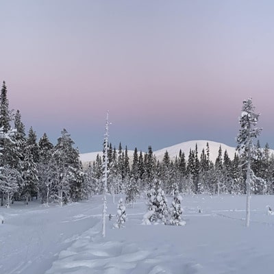 Finland's Lapland in Winter