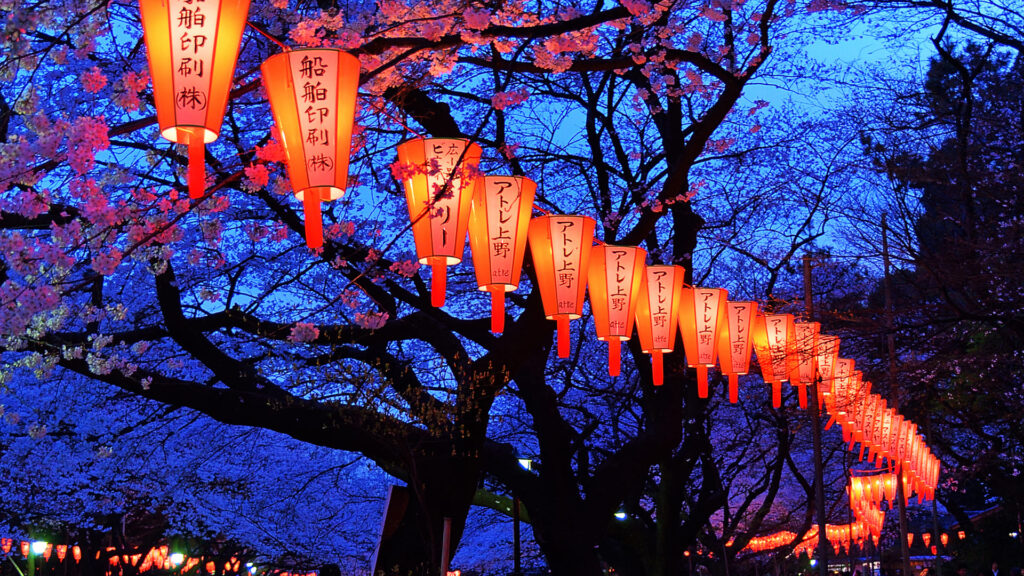 Japanese Lanterns and Cherry Blossoms